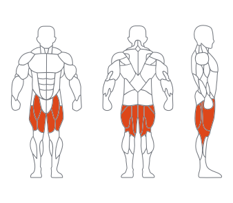 GL-7096俯卧屈腿练习器(灰色) GL-7096俯卧屈腿练习器(灰色)